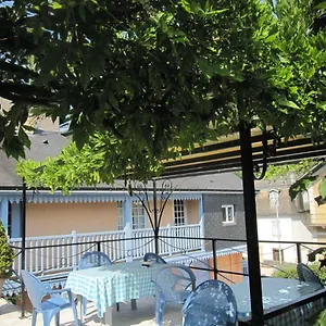 Isatis Bagnères-de-Bigorre